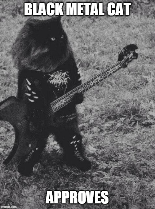 Black Metal Cat | BLACK METAL CAT APPROVES | image tagged in black metal cat | made w/ Imgflip meme maker