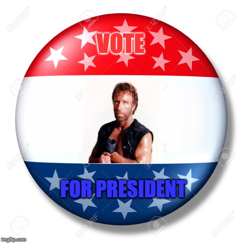 Blank for president | VOTE; FOR PRESIDENT | image tagged in blank for president | made w/ Imgflip meme maker
