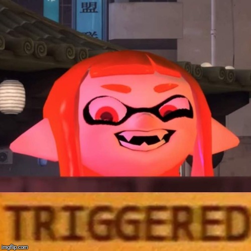 Did you say woomy? | image tagged in did you say woomy | made w/ Imgflip meme maker