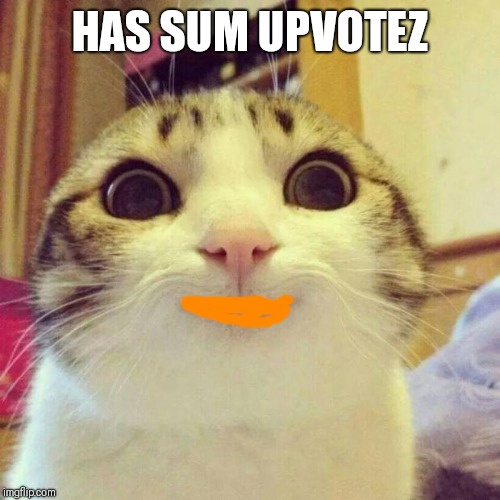 Smiling Cat Meme | HAS SUM UPVOTEZ | image tagged in memes,smiling cat | made w/ Imgflip meme maker