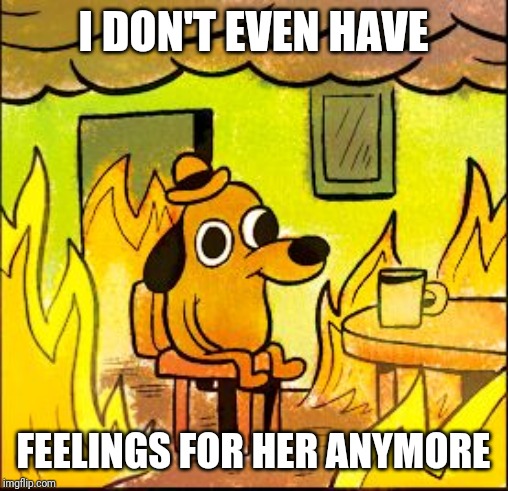 This is fine | I DON'T EVEN HAVE; FEELINGS FOR HER ANYMORE | image tagged in this is fine | made w/ Imgflip meme maker