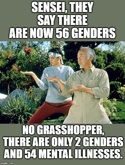Karate Kid Practice  | SENSEI, THEY SAY THERE ARE NOW 56 GENDERS; NO GRASSHOPPER, THERE ARE ONLY 2 GENDERS AND 54 MENTAL ILLNESSES. | image tagged in karate kid practice | made w/ Imgflip meme maker