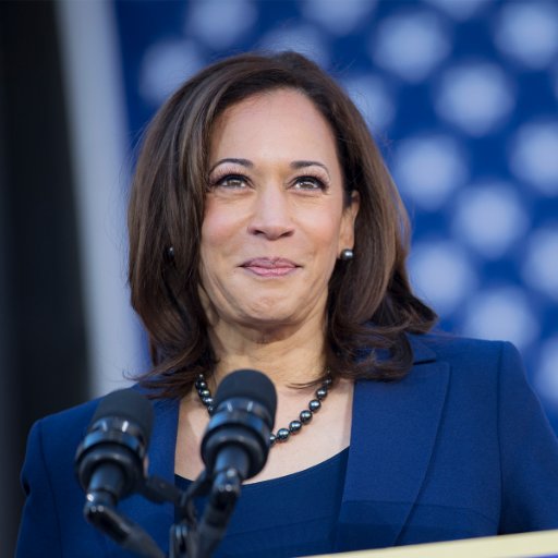 High Quality Kamala Harris Blank Meme Template