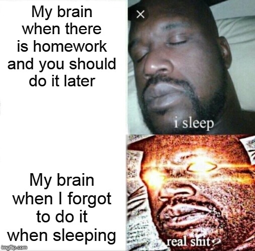 Sleeping Shaq | My brain when there is homework and you should do it later; My brain when I forgot to do it when sleeping | image tagged in memes,sleeping shaq | made w/ Imgflip meme maker