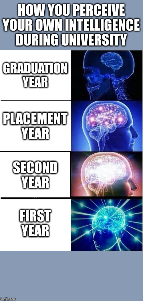 Expanding Brain | HOW YOU PERCEIVE YOUR OWN INTELLIGENCE DURING UNIVERSITY; GRADUATION YEAR; PLACEMENT YEAR; SECOND YEAR; FIRST YEAR | image tagged in memes,expanding brain | made w/ Imgflip meme maker