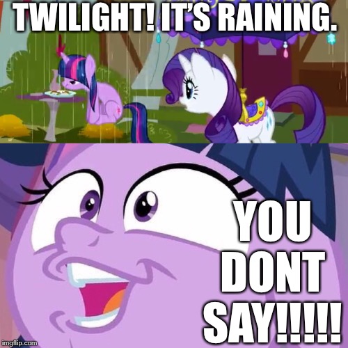 TWILIGHT! IT’S RAINING. YOU DONT SAY!!!!! | image tagged in rarity,twilight sparkle,you don't say | made w/ Imgflip meme maker