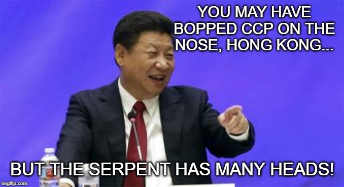 Xi Jinping Laughing | YOU MAY HAVE BOPPED CCP ON THE NOSE, HONG KONG... BUT THE SERPENT HAS MANY HEADS! | image tagged in xi jinping laughing | made w/ Imgflip meme maker