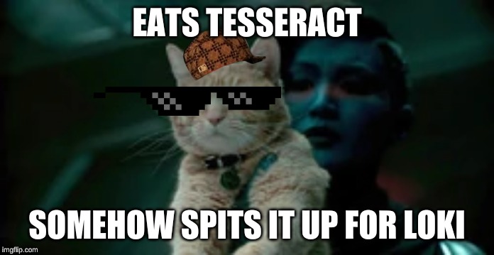 Goose The Cat | EATS TESSERACT; SOMEHOW SPITS IT UP FOR LOKI | image tagged in goose the cat | made w/ Imgflip meme maker