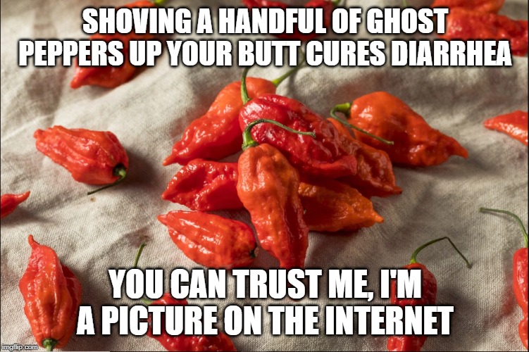 Ghost Pepper Facts | SHOVING A HANDFUL OF GHOST PEPPERS UP YOUR BUTT CURES DIARRHEA; YOU CAN TRUST ME, I'M A PICTURE ON THE INTERNET | image tagged in ghost pepper facts | made w/ Imgflip meme maker