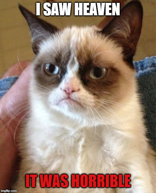 Grumpy Cat Meme | I SAW HEAVEN; IT WAS HORRIBLE | image tagged in memes,grumpy cat | made w/ Imgflip meme maker