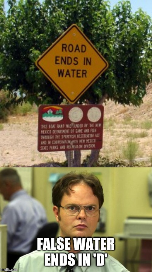 FALSE WATER ENDS IN 'D' | image tagged in memes,dwight schrute | made w/ Imgflip meme maker