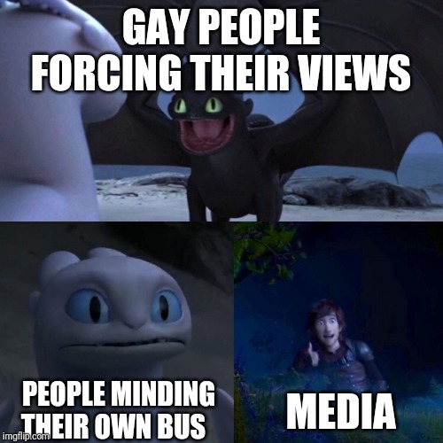 night fury | GAY PEOPLE FORCING THEIR VIEWS; PEOPLE MINDING THEIR OWN BUS; MEDIA | image tagged in night fury | made w/ Imgflip meme maker