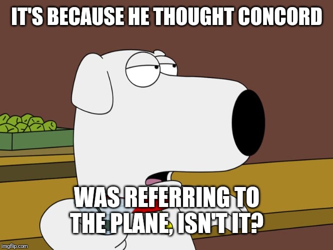 Brian Griffin | IT'S BECAUSE HE THOUGHT CONCORD; WAS REFERRING TO THE PLANE, ISN'T IT? | image tagged in brian griffin | made w/ Imgflip meme maker