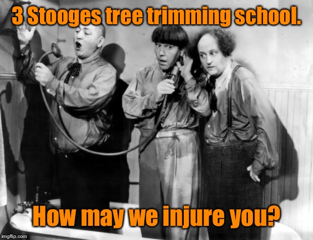 three stooges phone | 3 Stooges tree trimming school. How may we injure you? | image tagged in three stooges phone | made w/ Imgflip meme maker