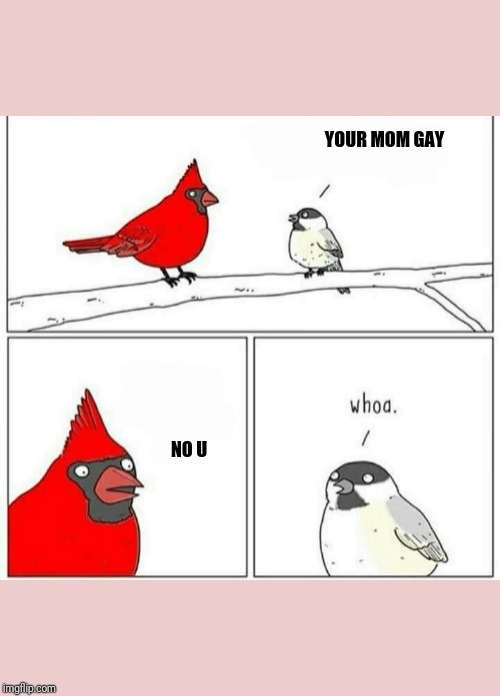 Whoa Bird #1 | YOUR MOM GAY; NO U | image tagged in whoa bird,funny memes,cool cardinal,your mom,gay,conversation | made w/ Imgflip meme maker