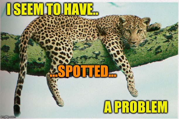 leopard | I SEEM TO HAVE.. A PROBLEM ...SPOTTED... | image tagged in leopard | made w/ Imgflip meme maker