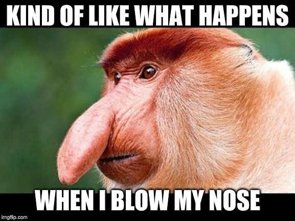 Big Nose Monkey | KIND OF LIKE WHAT HAPPENS WHEN I BLOW MY NOSE | image tagged in big nose monkey | made w/ Imgflip meme maker