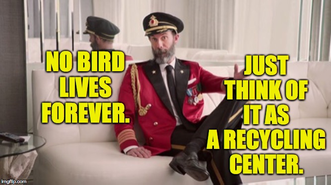 NO BIRD LIVES FOREVER. JUST THINK OF IT AS A RECYCLING CENTER. | made w/ Imgflip meme maker