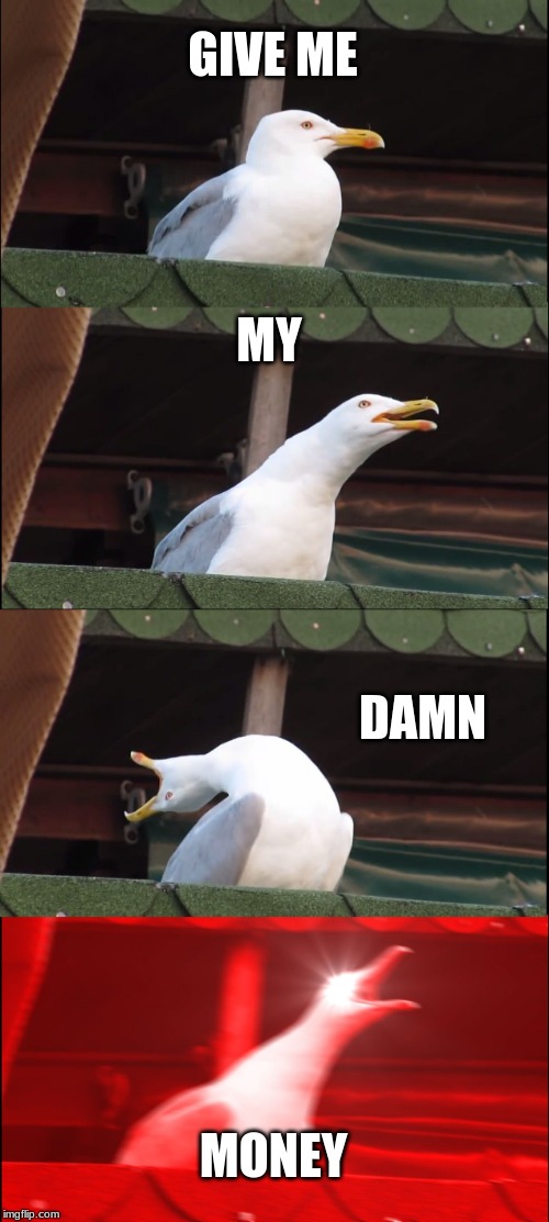 Inhaling Seagull Meme | GIVE ME; MY; DAMN; MONEY | image tagged in memes,inhaling seagull | made w/ Imgflip meme maker