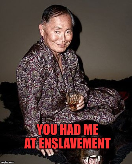 George Takei | YOU HAD ME AT ENSLAVEMENT | image tagged in george takei | made w/ Imgflip meme maker