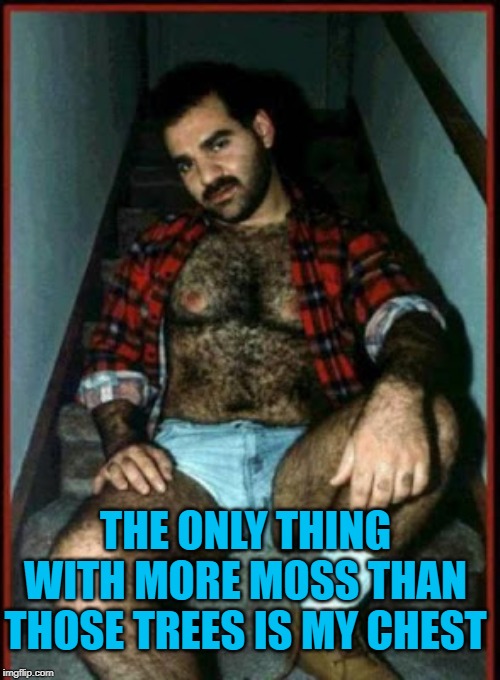 sexy Lumberjack | THE ONLY THING WITH MORE MOSS THAN THOSE TREES IS MY CHEST | image tagged in sexy lumberjack | made w/ Imgflip meme maker