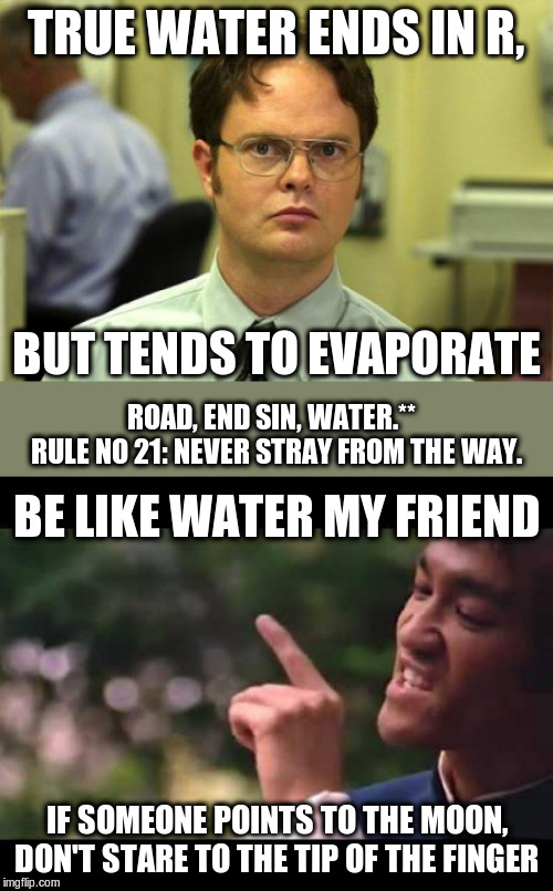 TRUE WATER ENDS IN R, BUT TENDS TO EVAPORATE ROAD, END SIN, WATER.**  
RULE NO 21: NEVER STRAY FROM THE WAY. BE LIKE WATER MY FRIEND IF SOME | image tagged in memes,dwight schrute,bruce lee | made w/ Imgflip meme maker