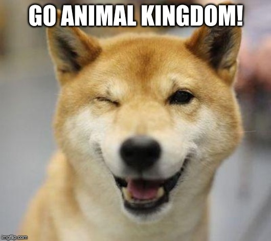 wink doge | GO ANIMAL KINGDOM! | image tagged in wink doge | made w/ Imgflip meme maker