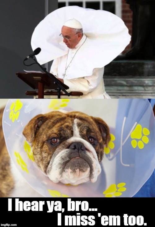 There's Something Different About You Today... | I hear ya, bro... I miss 'em too. | image tagged in funny,doggie cone,pope | made w/ Imgflip meme maker