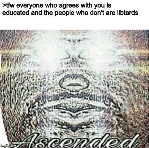 Real Shit Ascended | >tfw everyone who agrees with you is educated and the people who don't are libtards | image tagged in real shit ascended | made w/ Imgflip meme maker