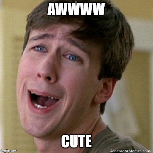 awww | AWWWW CUTE | image tagged in awww | made w/ Imgflip meme maker