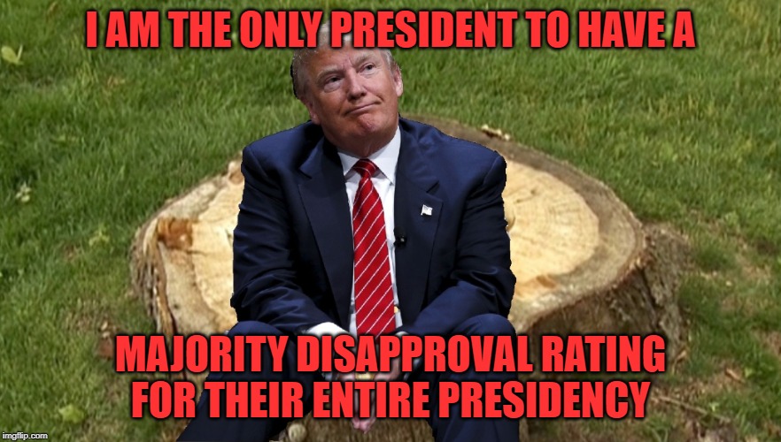 Trump on a stump | I AM THE ONLY PRESIDENT TO HAVE A; MAJORITY DISAPPROVAL RATING FOR THEIR ENTIRE PRESIDENCY | image tagged in trump on a stump | made w/ Imgflip meme maker
