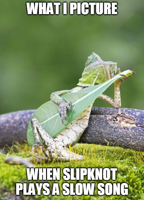 GREEN METAL? | WHAT I PICTURE; WHEN SLIPKNOT PLAYS A SLOW SONG | image tagged in metal | made w/ Imgflip meme maker