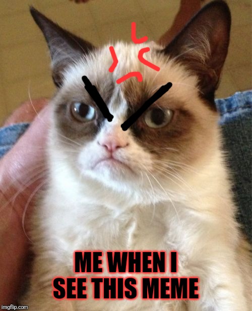 Grumpy Cat Meme | ME WHEN I SEE THIS MEME | image tagged in memes,grumpy cat | made w/ Imgflip meme maker