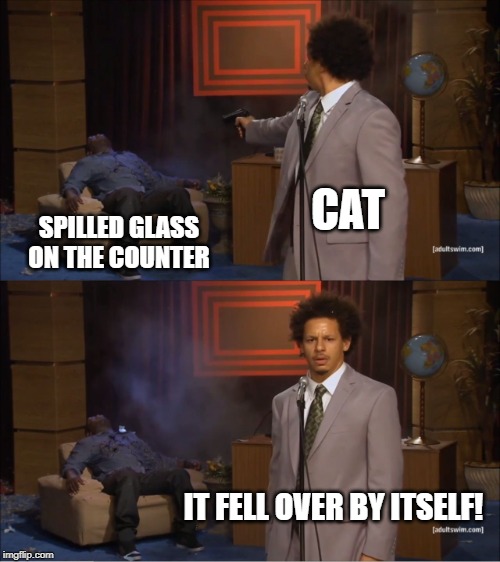 Damn Cats Always Do It... | CAT; SPILLED GLASS ON THE COUNTER; IT FELL OVER BY ITSELF! | image tagged in memes,who killed hannibal | made w/ Imgflip meme maker