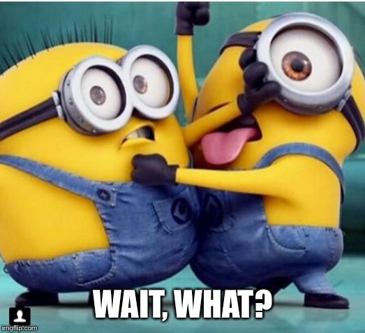 minions fighting | WAIT, WHAT? | image tagged in minions fighting | made w/ Imgflip meme maker