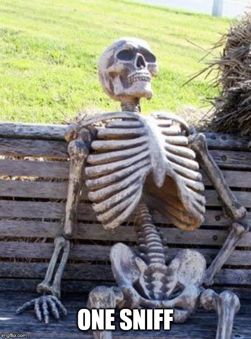 Waiting Skeleton Meme | ONE SNIFF | image tagged in memes,waiting skeleton | made w/ Imgflip meme maker