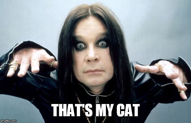 Ozzy Osbourne | THAT'S MY CAT | image tagged in ozzy osbourne | made w/ Imgflip meme maker