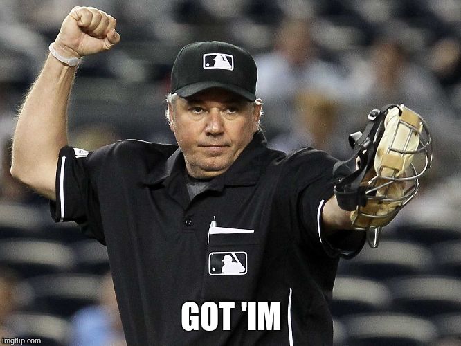 Umpire Out | GOT 'IM | image tagged in umpire out | made w/ Imgflip meme maker