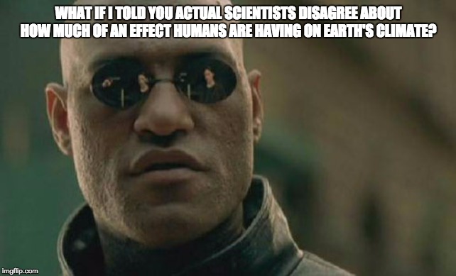 Matrix Morpheus Meme | WHAT IF I TOLD YOU ACTUAL SCIENTISTS DISAGREE ABOUT HOW MUCH OF AN EFFECT HUMANS ARE HAVING ON EARTH'S CLIMATE? | image tagged in memes,matrix morpheus | made w/ Imgflip meme maker