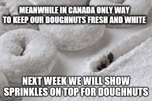 meanwhile in canada | NEXT WEEK WE WILL SHOW SPRINKLES ON TOP FOR DOUGHNUTS | image tagged in oh wow doughnuts,doughnuts,funny memes,funny meme,yummy | made w/ Imgflip meme maker