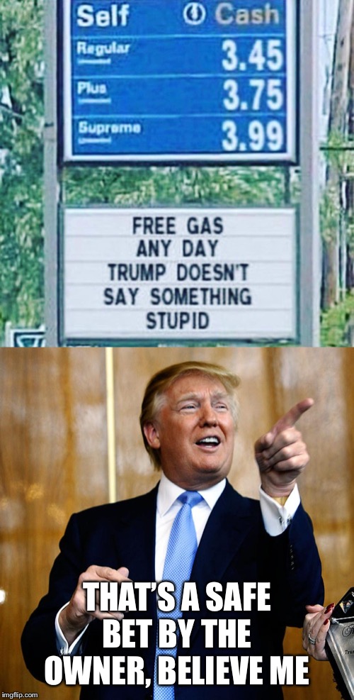 When you’re smart enough to know you’re dumb. | THAT’S A SAFE BET BY THE OWNER, BELIEVE ME | image tagged in donal trump birthday,dumb,free gas | made w/ Imgflip meme maker