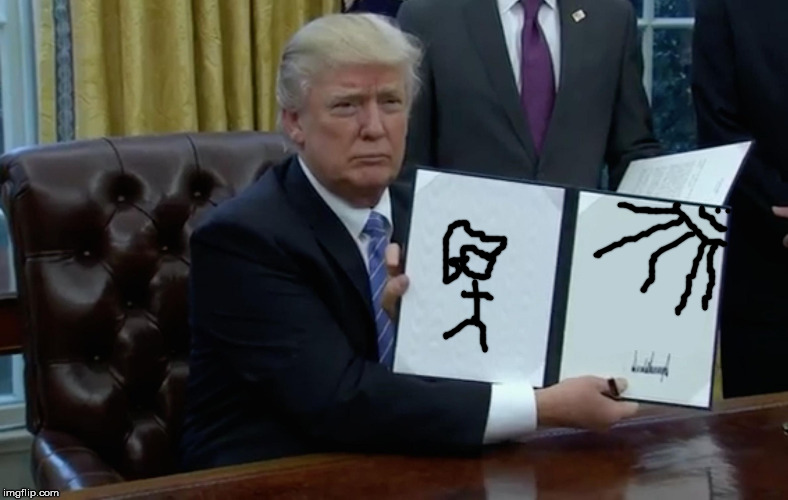 Executive Order Trump | image tagged in executive order trump,memes,politics,trump | made w/ Imgflip meme maker
