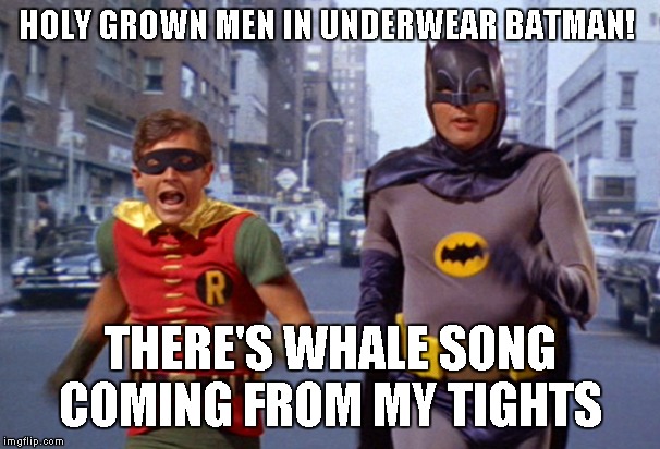 Beans, beans a wonderful fruit♫ |  HOLY GROWN MEN IN UNDERWEAR BATMAN! THERE'S WHALE SONG COMING FROM MY TIGHTS | image tagged in batman and robin | made w/ Imgflip meme maker