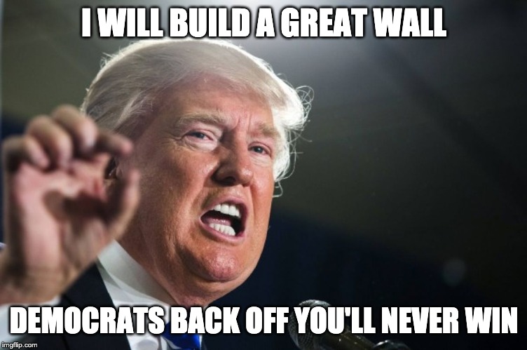 donald trump | I WILL BUILD A GREAT WALL; DEMOCRATS BACK OFF YOU'LL NEVER WIN | image tagged in donald trump | made w/ Imgflip meme maker