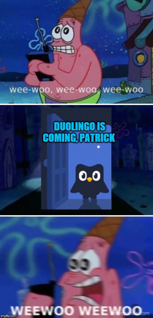 He's Screwed | DUOLINGO IS COMING, PATRICK | image tagged in patrick,memes,duolingo | made w/ Imgflip meme maker