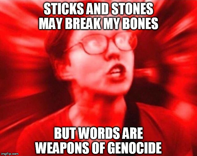 Sjw  |  STICKS AND STONES MAY BREAK MY BONES; BUT WORDS ARE WEAPONS OF GENOCIDE | image tagged in sjw,sticks and stones,words,genocide,cultural marxism,liberal logic | made w/ Imgflip meme maker