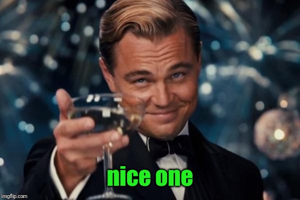 Leonardo Dicaprio Cheers Meme | nice one | image tagged in memes,leonardo dicaprio cheers | made w/ Imgflip meme maker