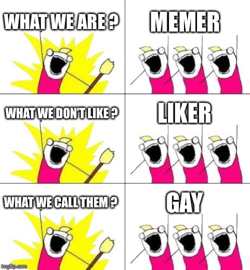 What Do We Want 3 Meme | WHAT WE ARE ? MEMER; WHAT WE DON’T LIKE ? LIKER; WHAT WE CALL THEM ? GAY | image tagged in memes,what do we want 3 | made w/ Imgflip meme maker