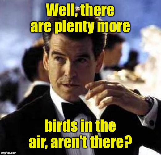 James Bond | Well, there are plenty more birds in the air, aren’t there? | image tagged in james bond | made w/ Imgflip meme maker