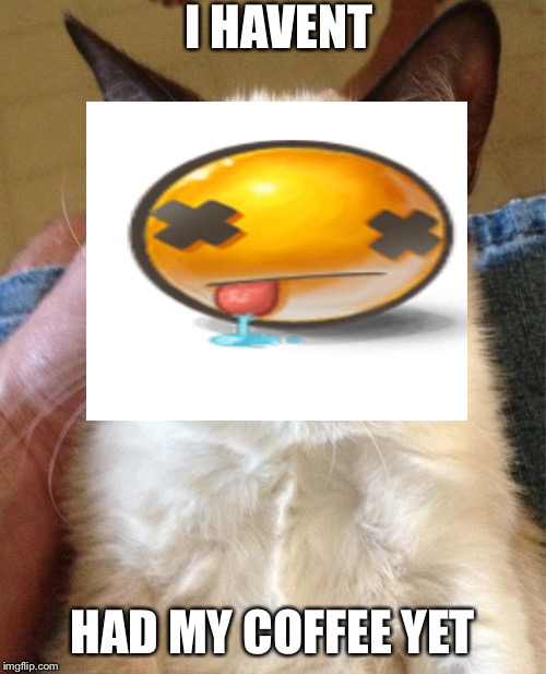 Grumpy Cat Meme | I HAVENT; HAD MY COFFEE YET | image tagged in memes,grumpy cat | made w/ Imgflip meme maker